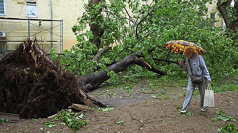 Чиновники и менеджеры подозреваются в мошенничестве