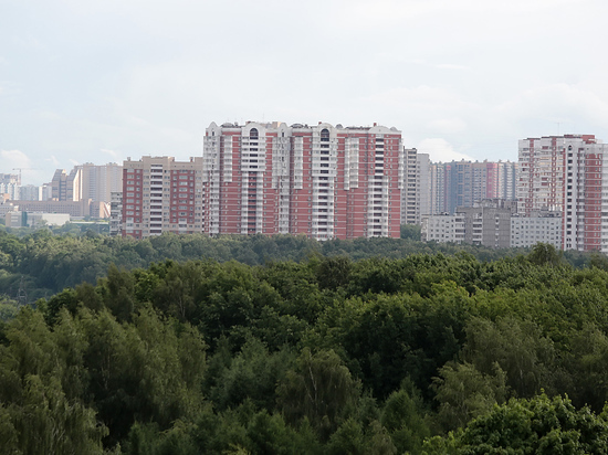 Московские квартиры начали уменьшаться в размерах - МК