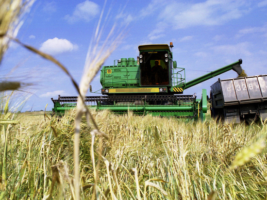 Глава Зернового союза предсказал провал России на мировом рынке зерна - МК