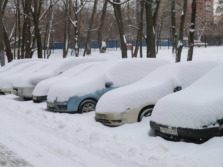 Накрывший Москву циклон «Ольга» заставил ученых заговорить об изменении климата - МК