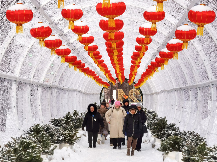 Дедушка Дракон: как и где в столице встретить китайский Новый год - МК
